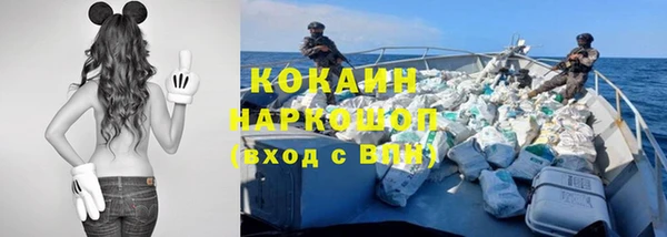 прущие грибы Алексин