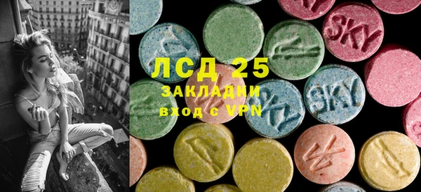 прущие грибы Алексин